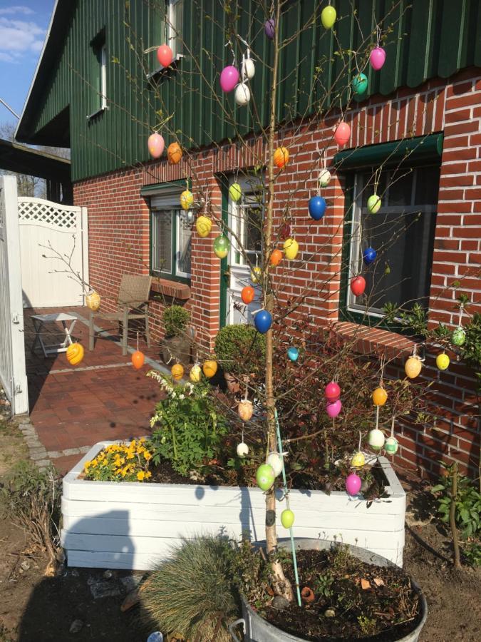 Ferienhaus Staben Eggstedt Bagian luar foto