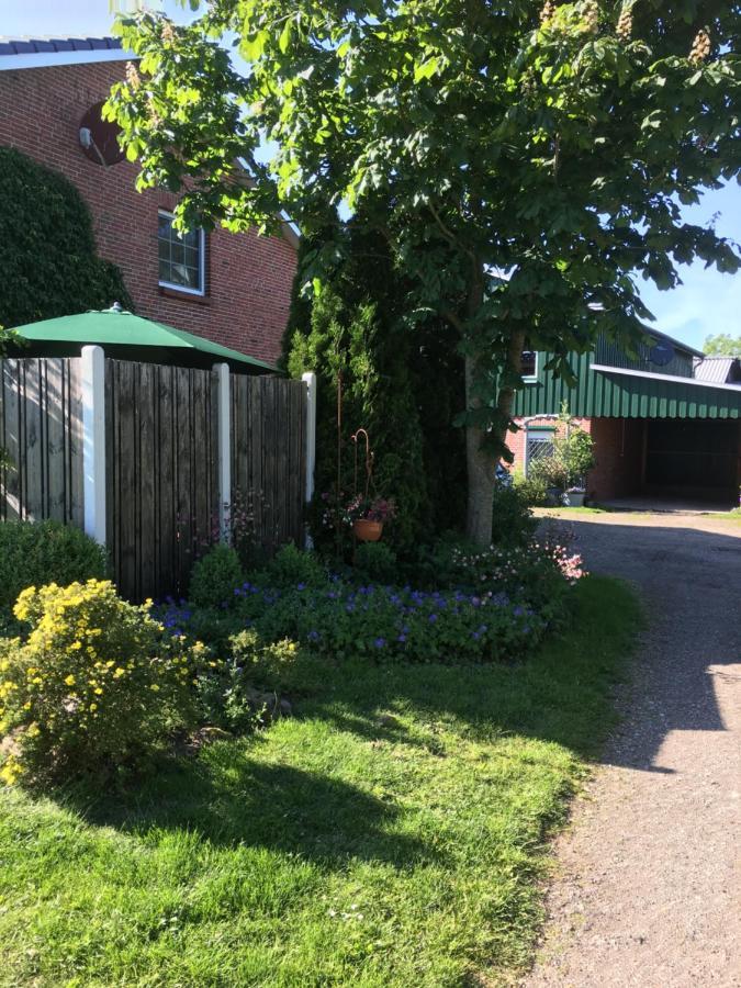 Ferienhaus Staben Eggstedt Bagian luar foto
